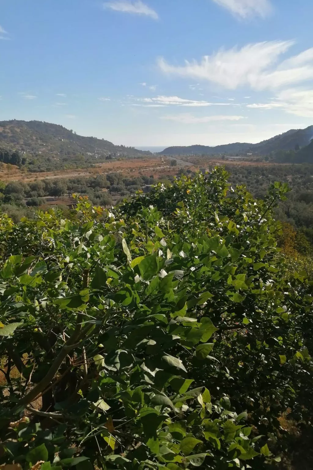 Das Haus der Julia-Inside