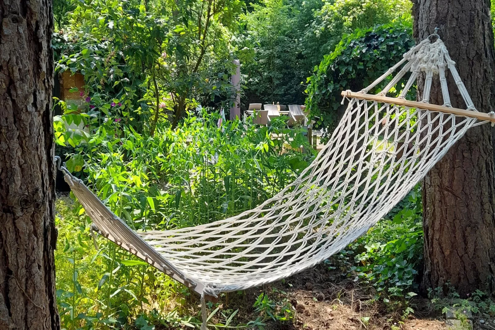 Oud-Turnhout-Jardin d'été