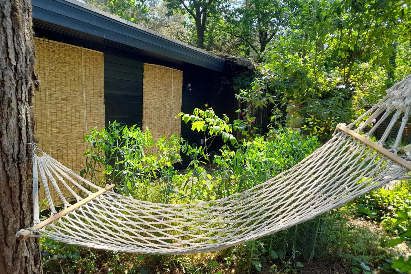 Oud-Turnhout-Jardin d'été
