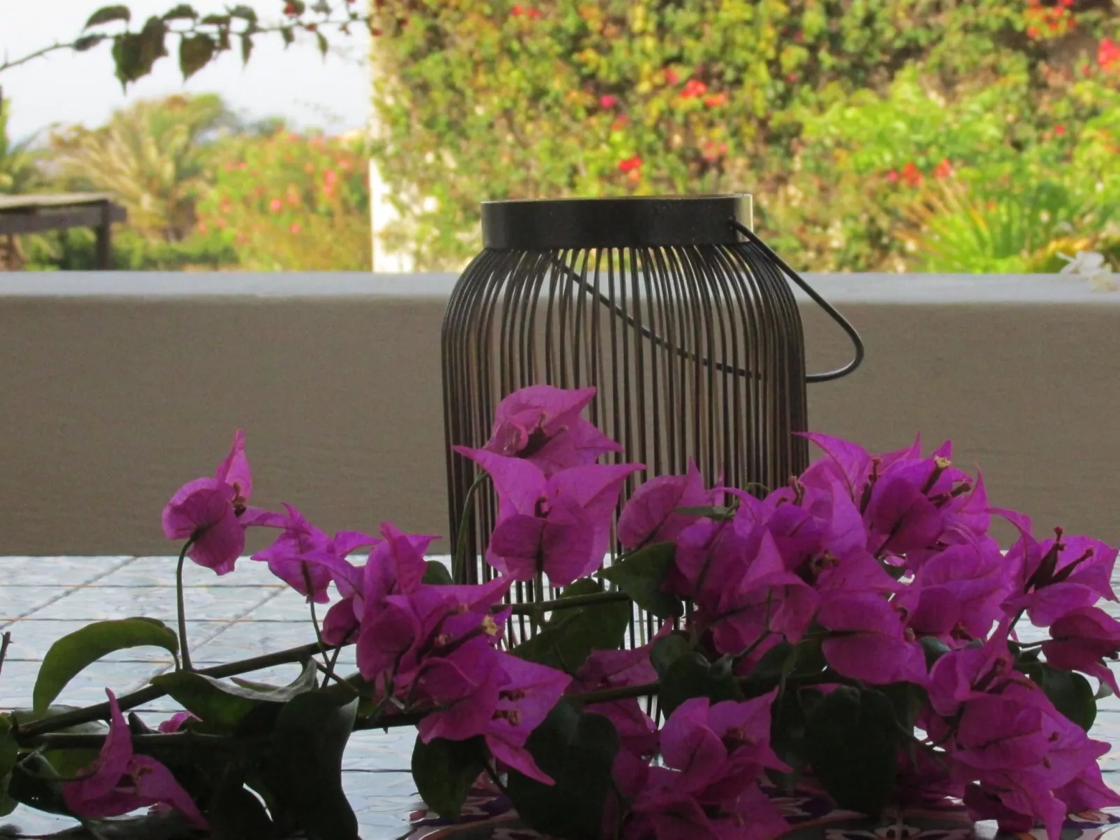 Stammes-Suite-Image-tags.info