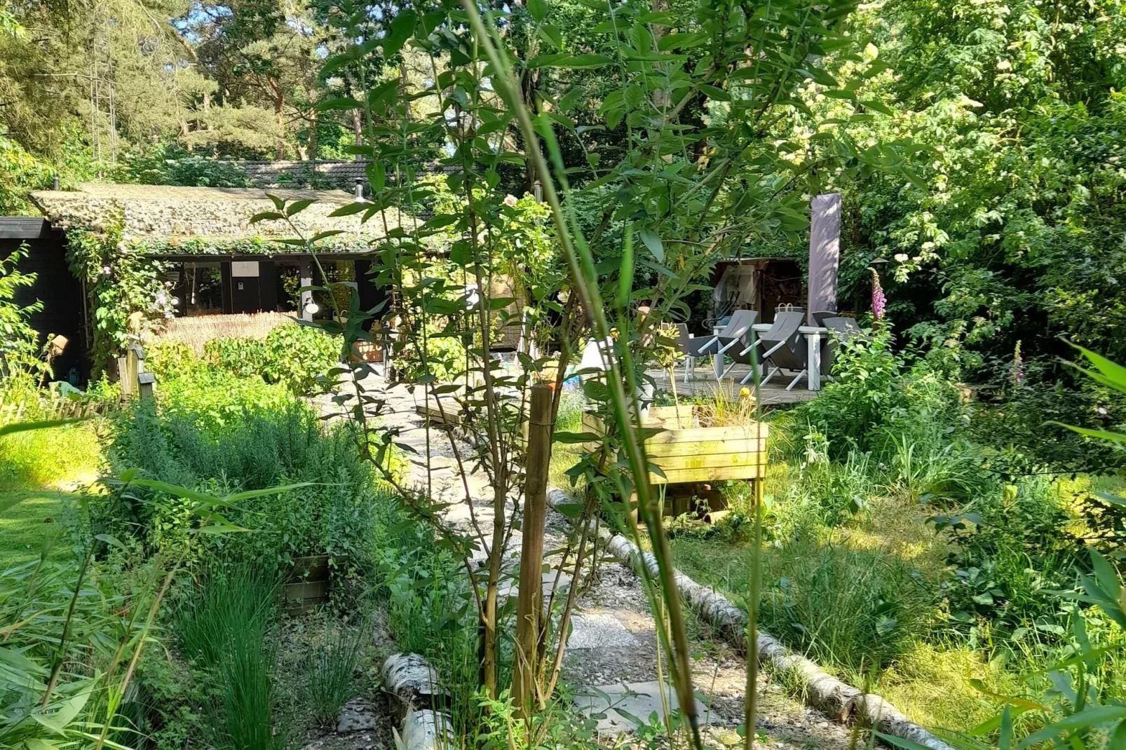 Oud-Turnhout-Jardin d'été