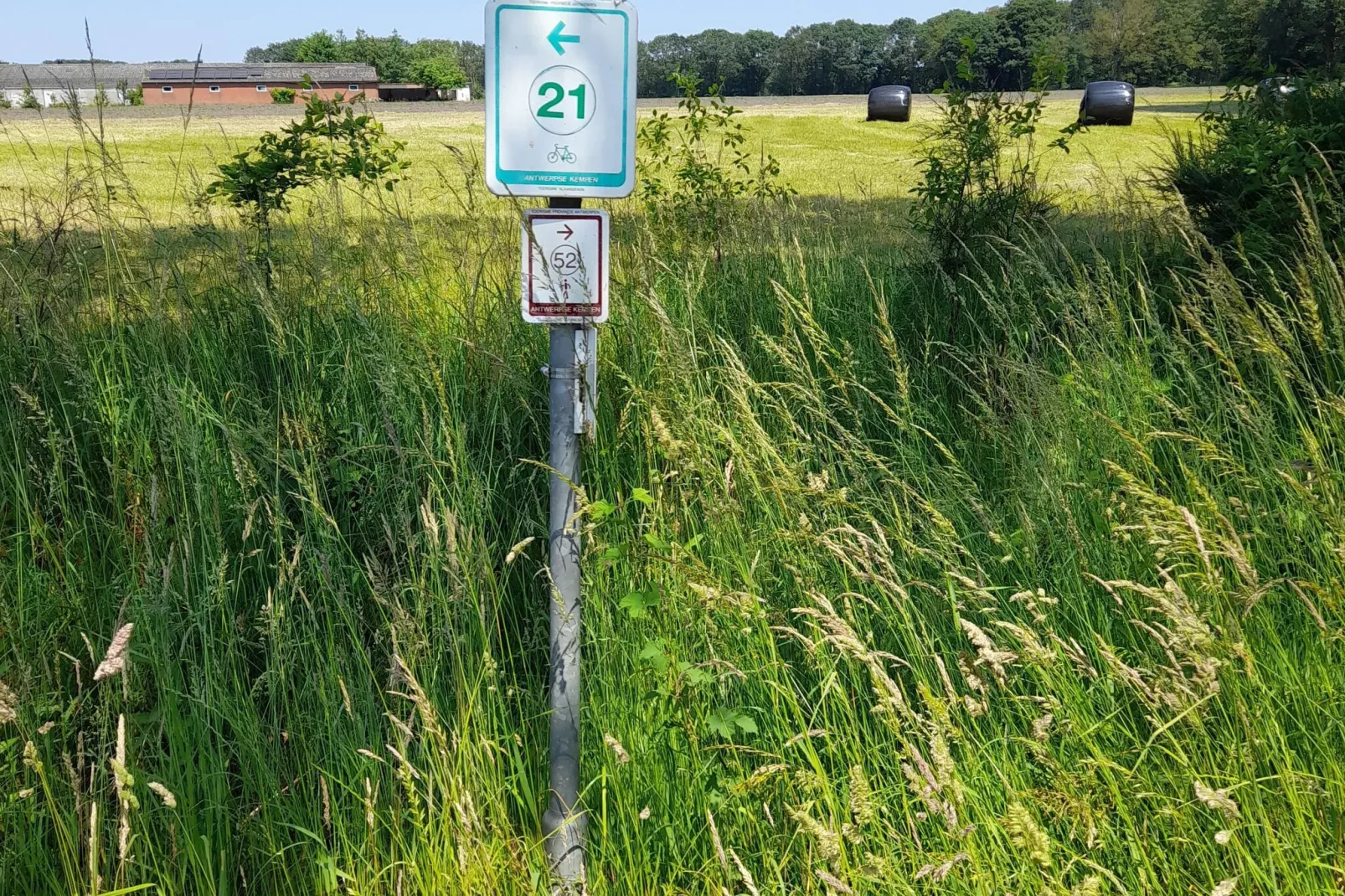 Oud-Turnhout-Zones d'été à 1 km