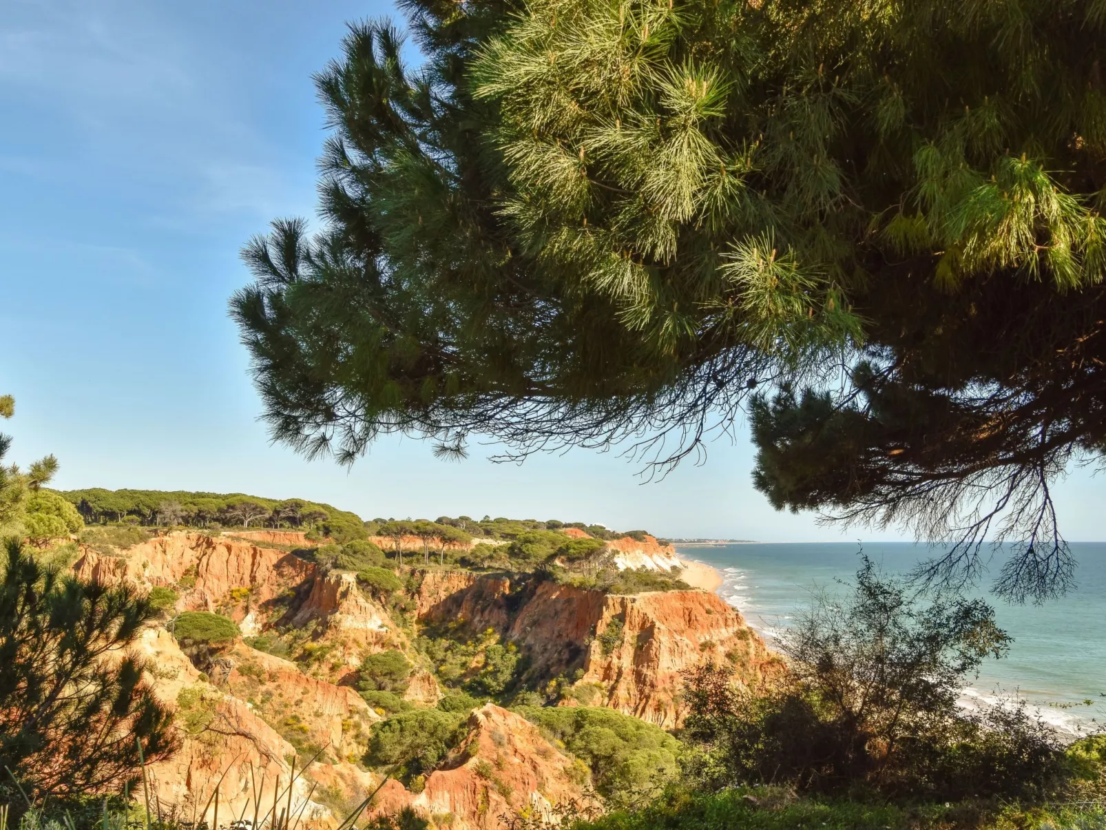 Wohnung "Falésia" mit Gemeinschaftspool-Dehors