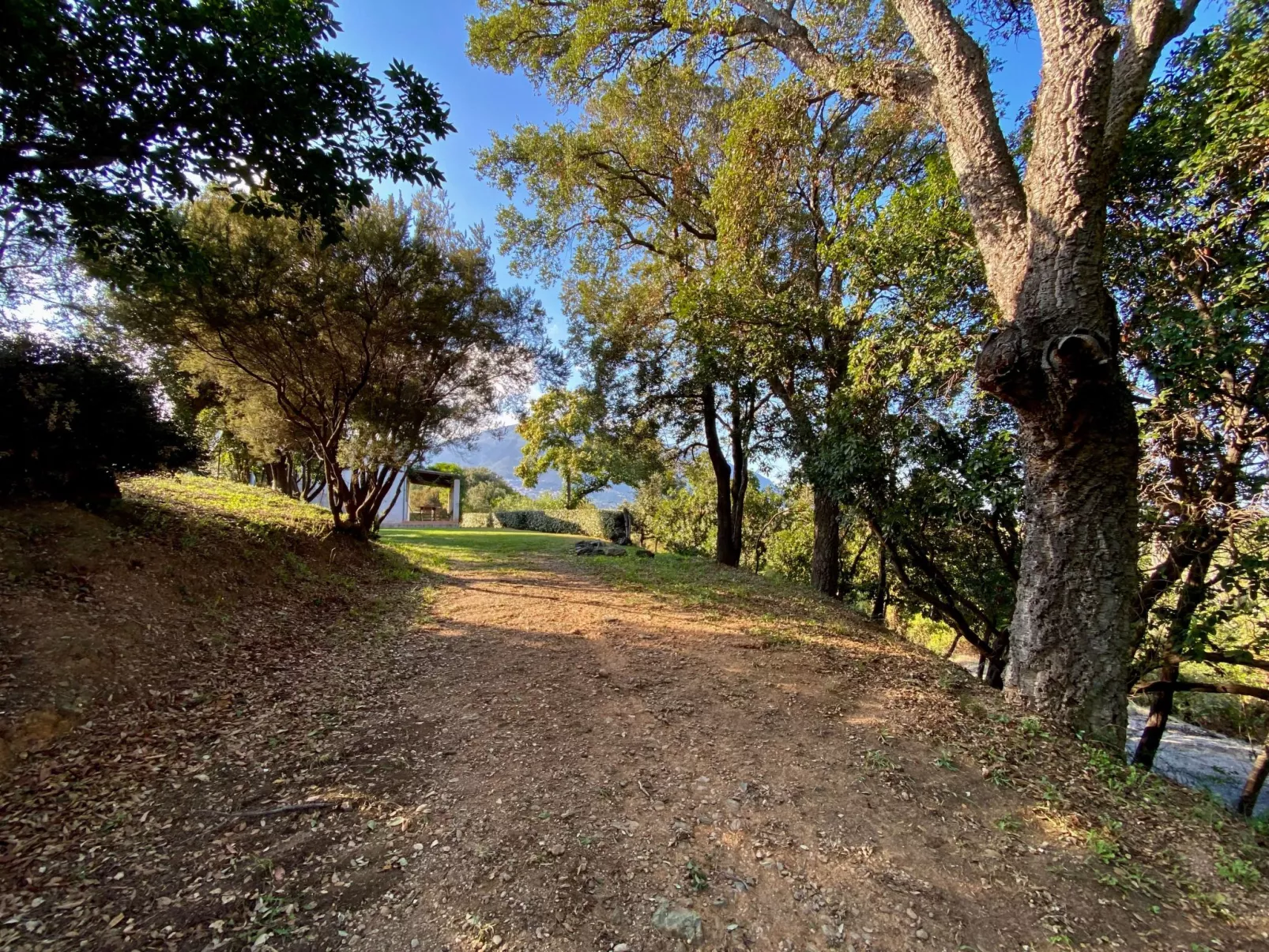 Villa mit Meerblick U Castagnu in geschützter Natur-Image-tags.info