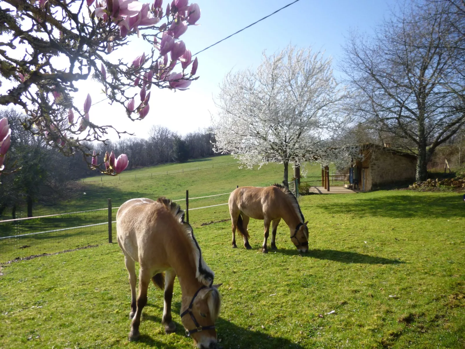 Komfort, Ruhe, privater Pool, EV-Ladestation-Dehors