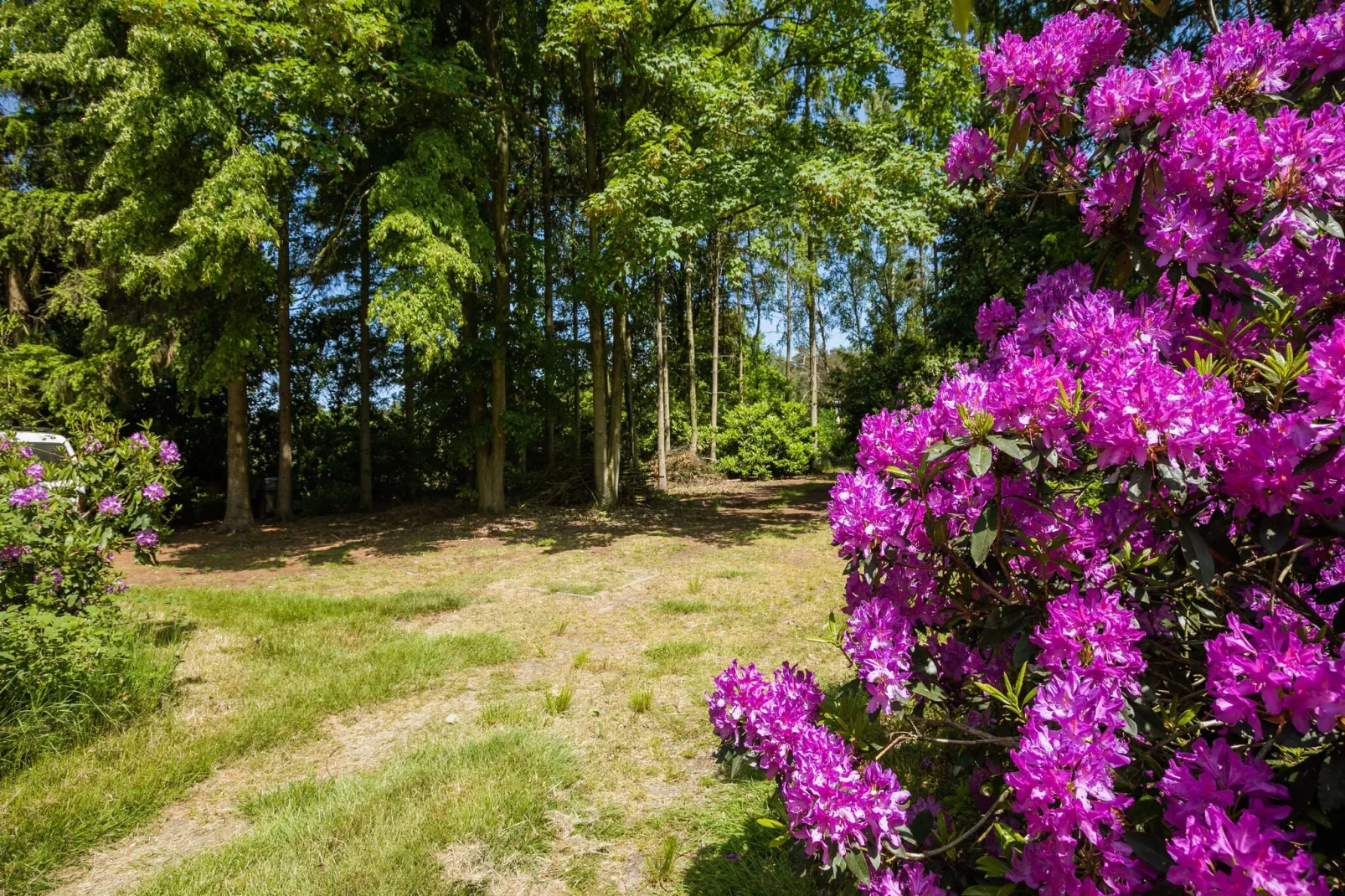 Het Boshuis-Gardens summer