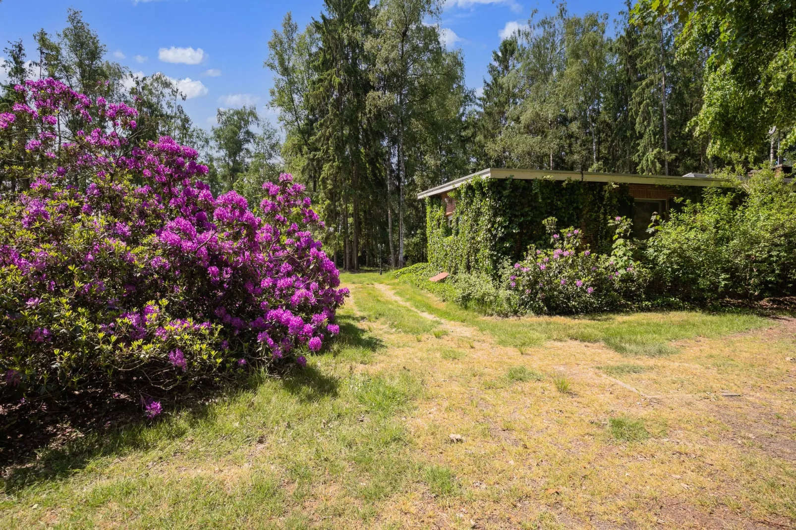 Het Boshuis-Areas summer 1km