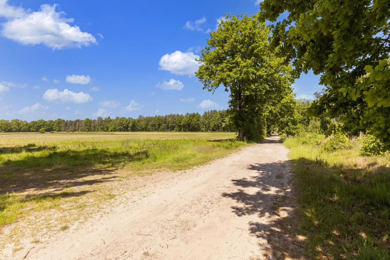 Het Boshuis-Areas summer 5km