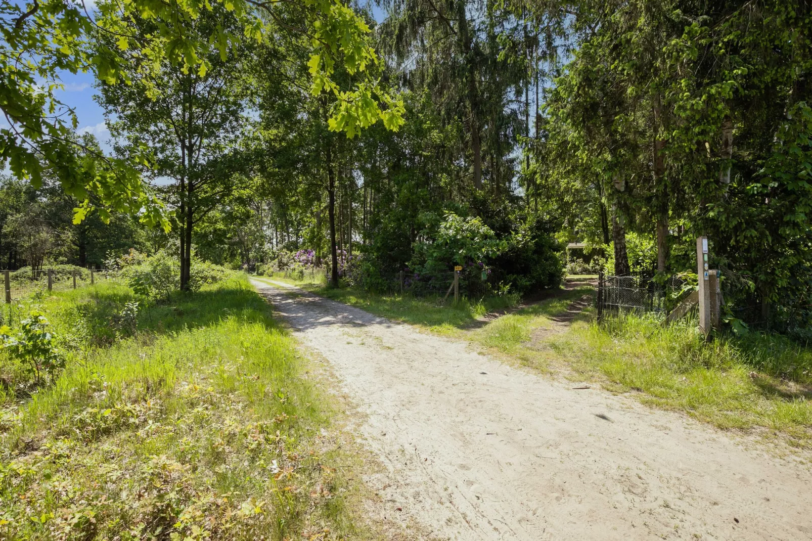 Het Boshuis-Areas summer 5km