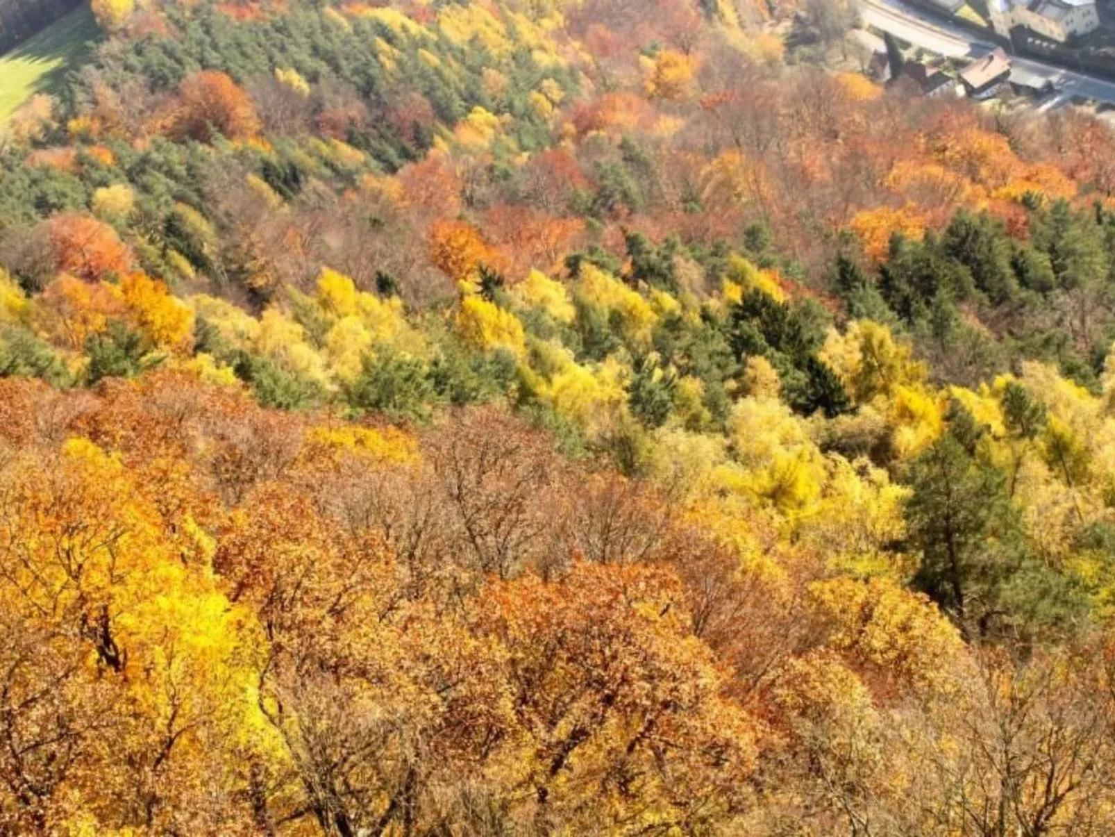 Fewo Natur und Kunst-Dehors