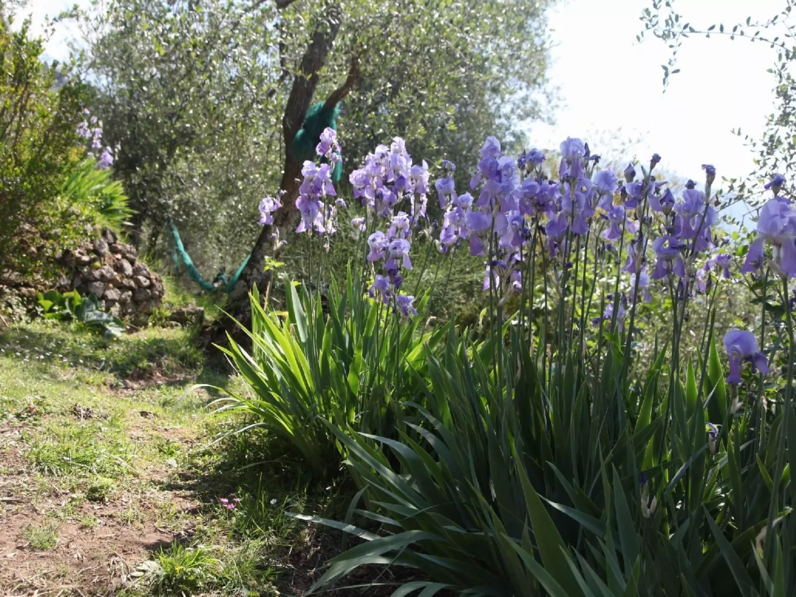 'Giaggioli' mit Garten und Terrasse-Image-tags.info