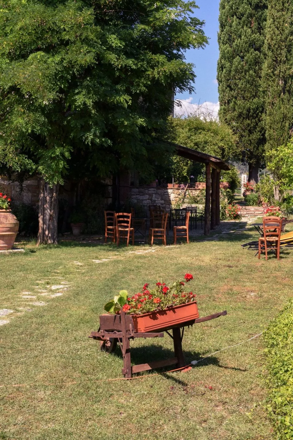 Flach 'Molinello Cipresso-Image-tags.info