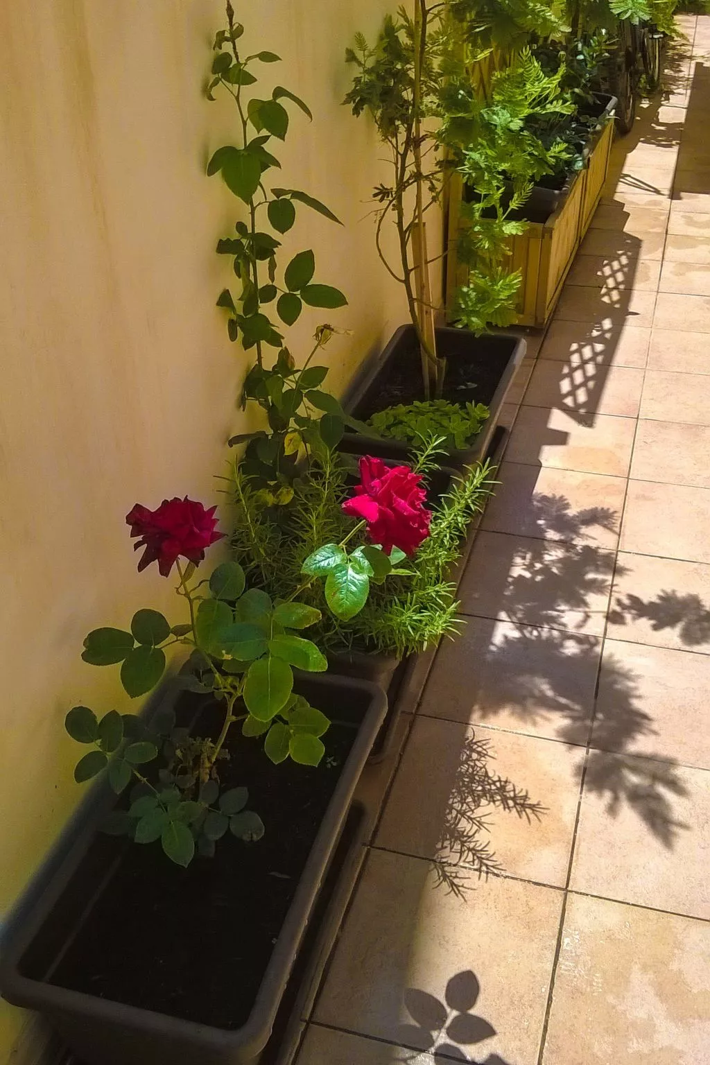 Wohnung an der Scala dei Turchi-Inside