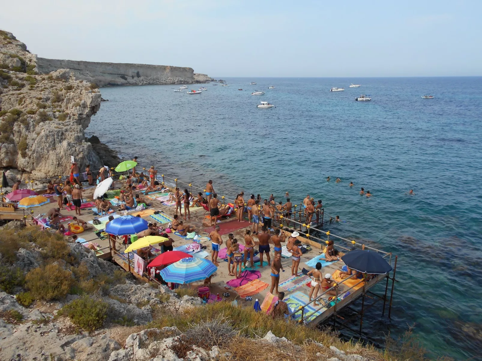 Haus der Schmetterlinge in Syrakus-Dedans