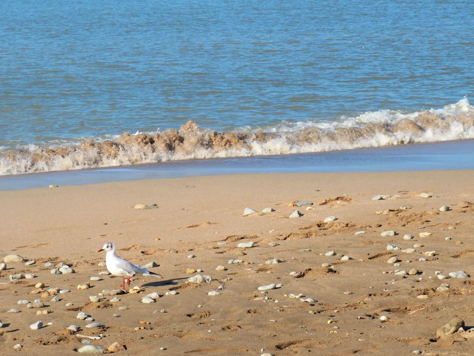 Landhaus Escapade Normande-Outside