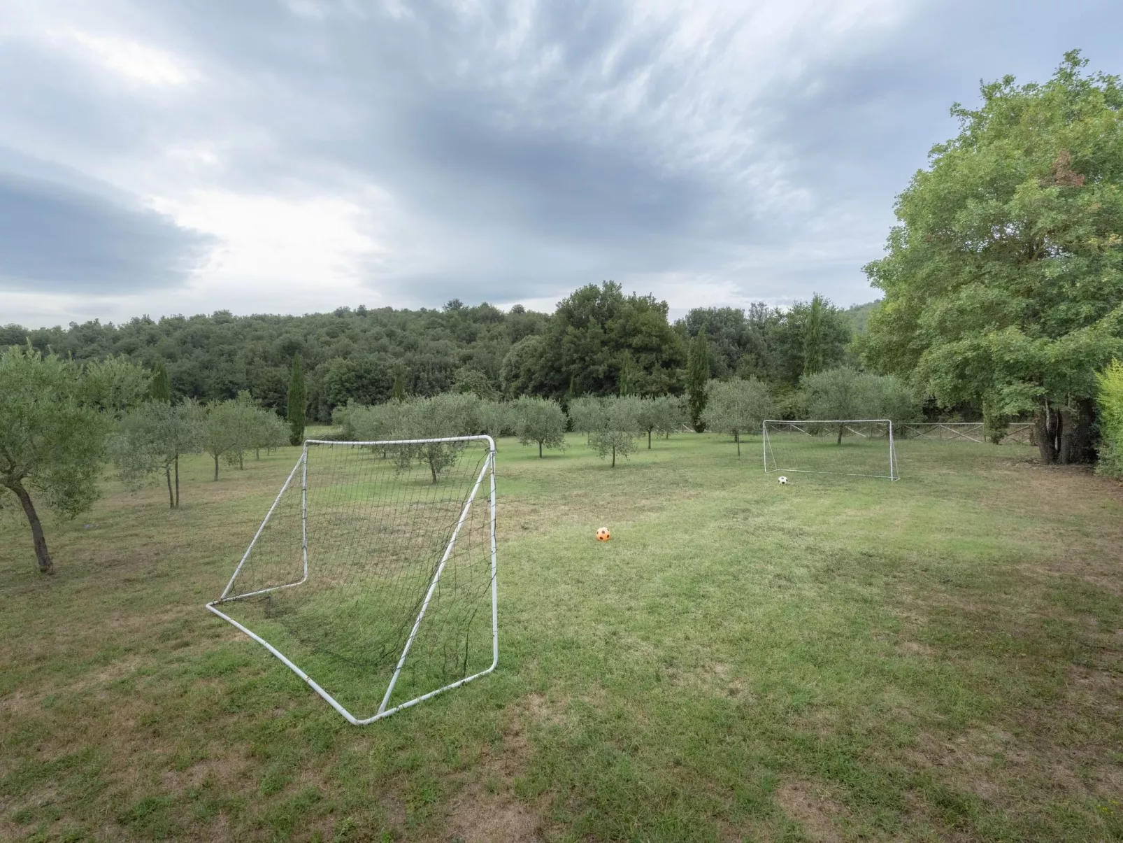 Mascie Merlo-Image-tags.info