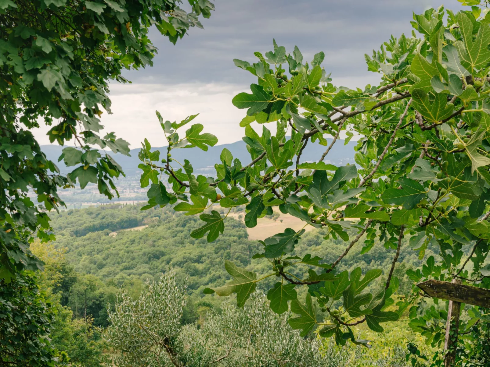 Casale Il Cungi-Outside