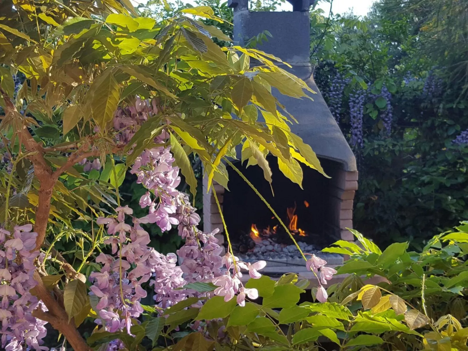 VILLA ARBATAX-Image-tags.info