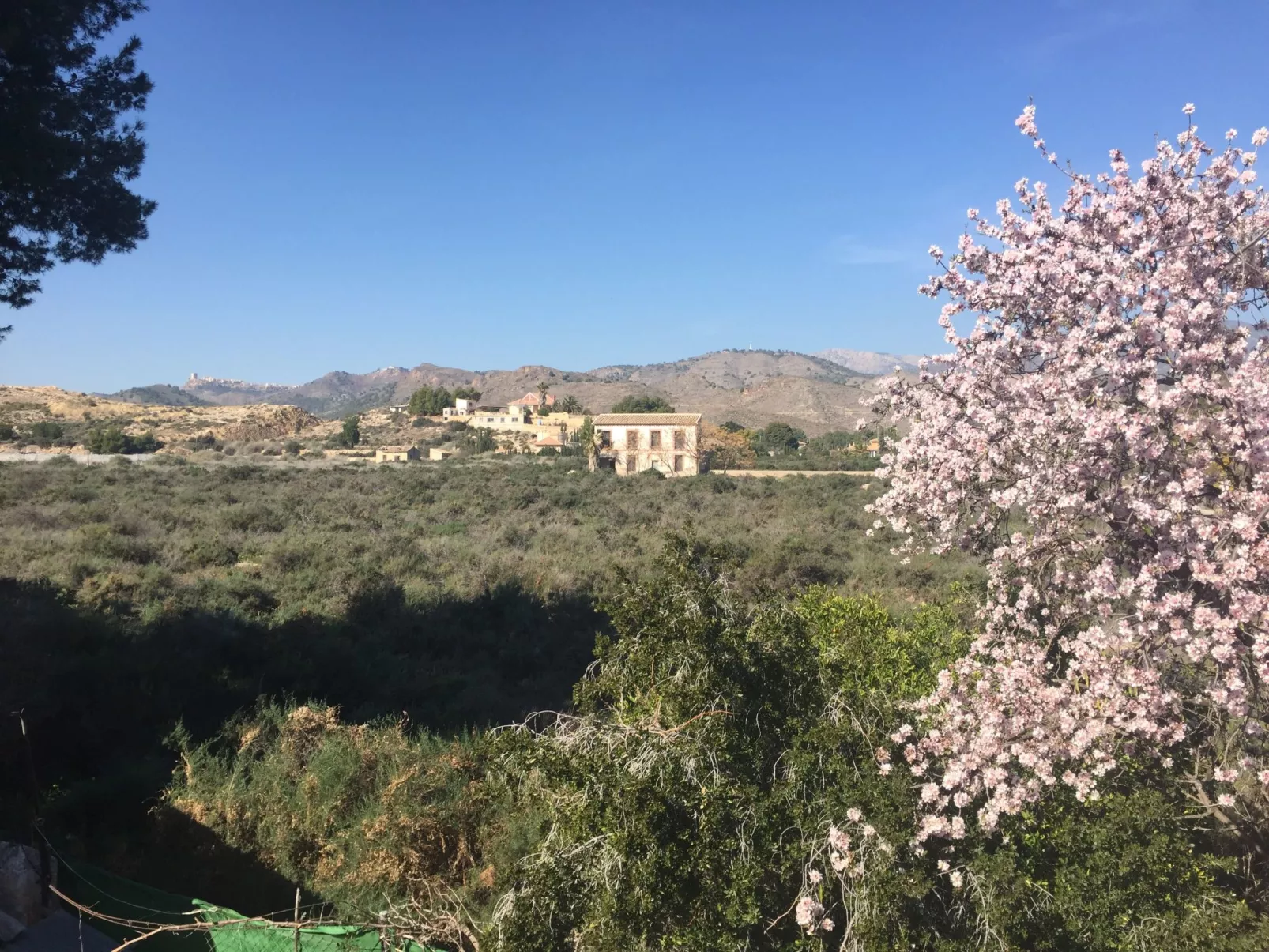 Casa Montana in Küstennähe... sehr empfehlenswert.-Drinnen