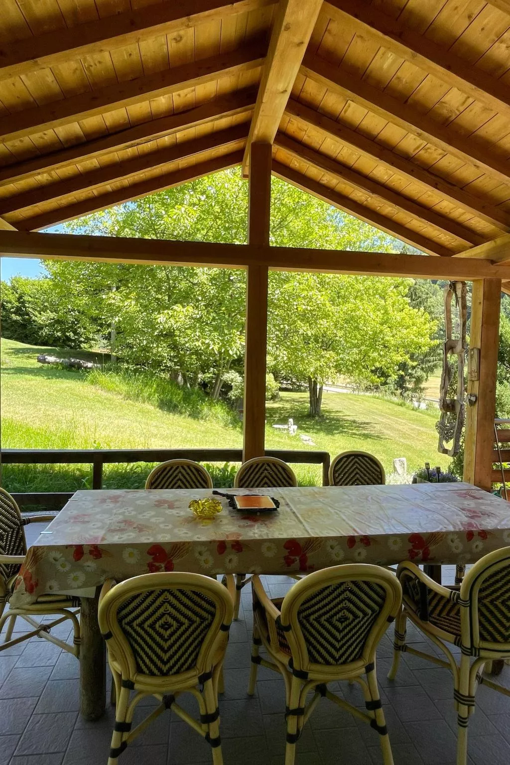 Gesegnet wie Frösche auf einem Seerosenblatt-Image-tags.info