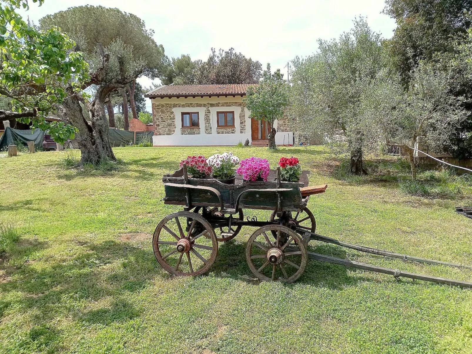 "Giotto" mit Terrasse-Draußen