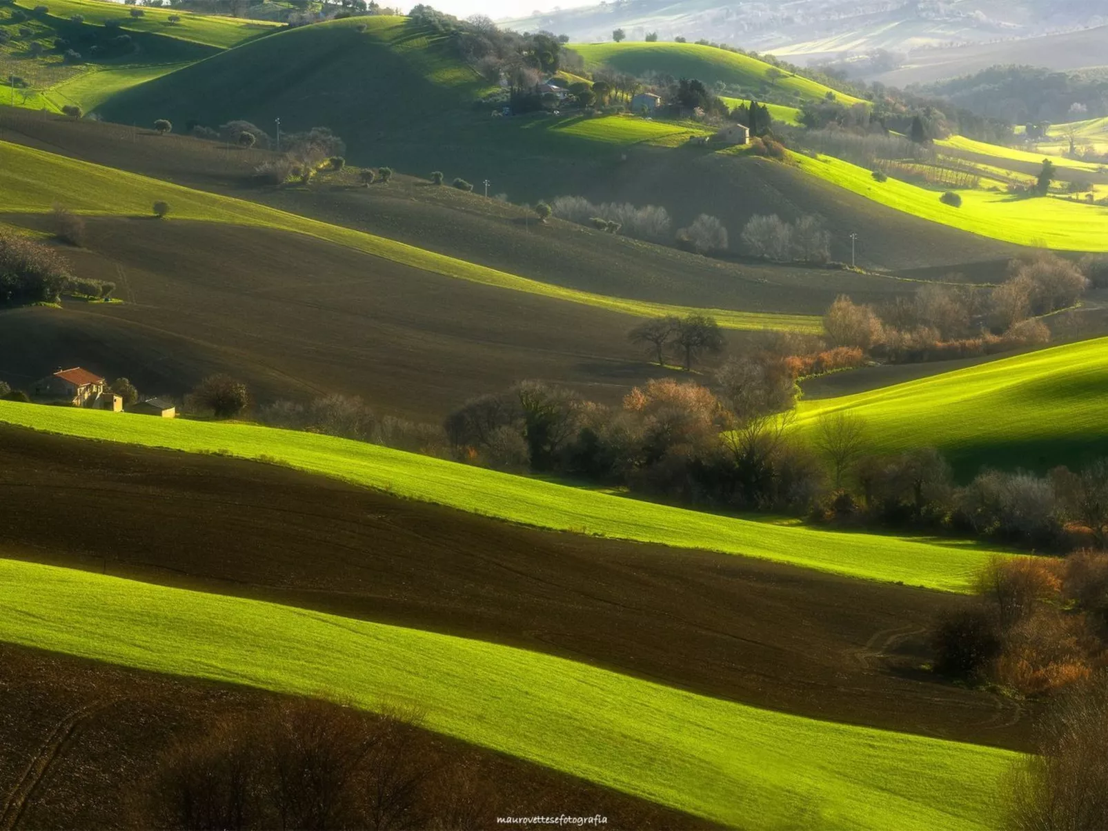'Casa il Girasole'-Outside