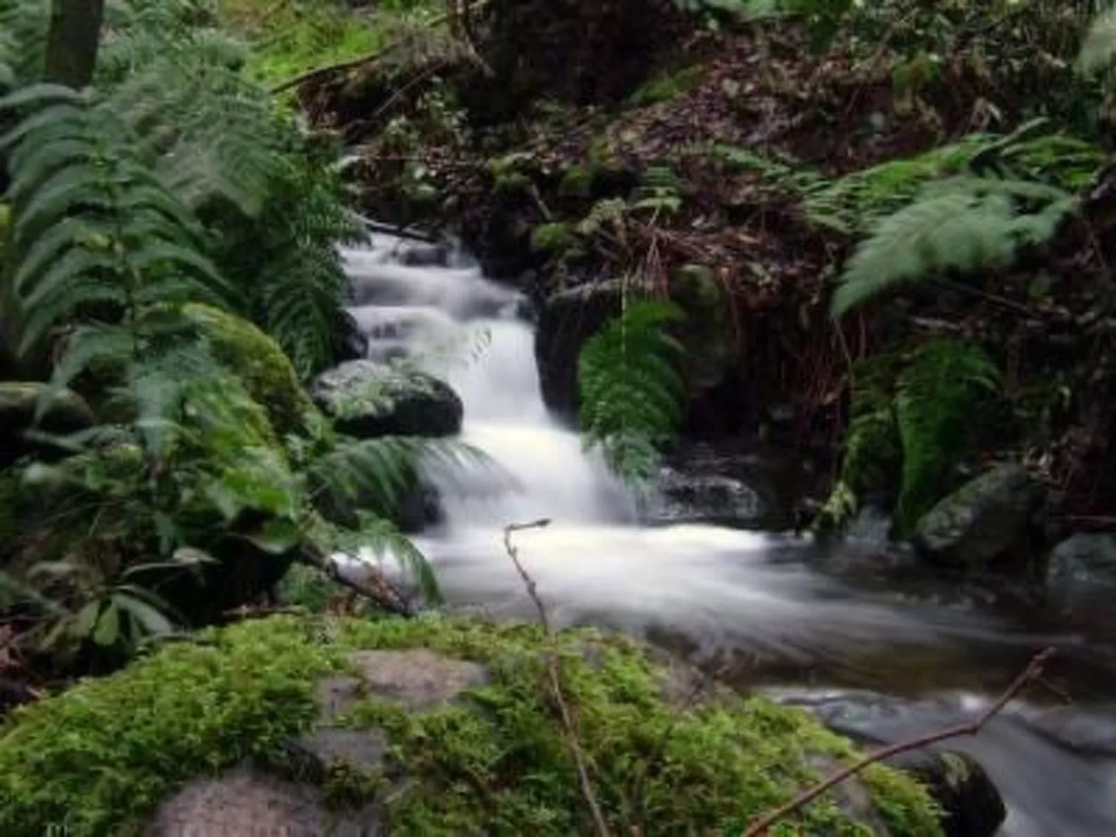 Casa Rural El Serrillal 1 Hermigua La Gomera-Outside