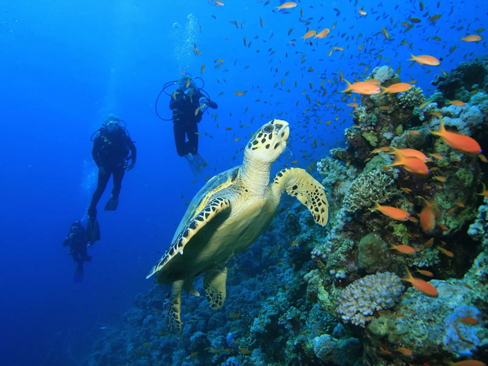 Historische Strandvilla-Draußen