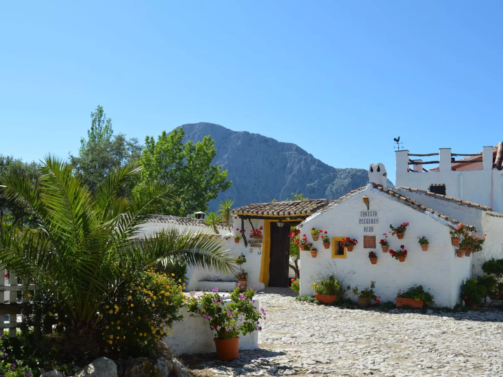 Cortijo Pulgarin Bajo - Draußen