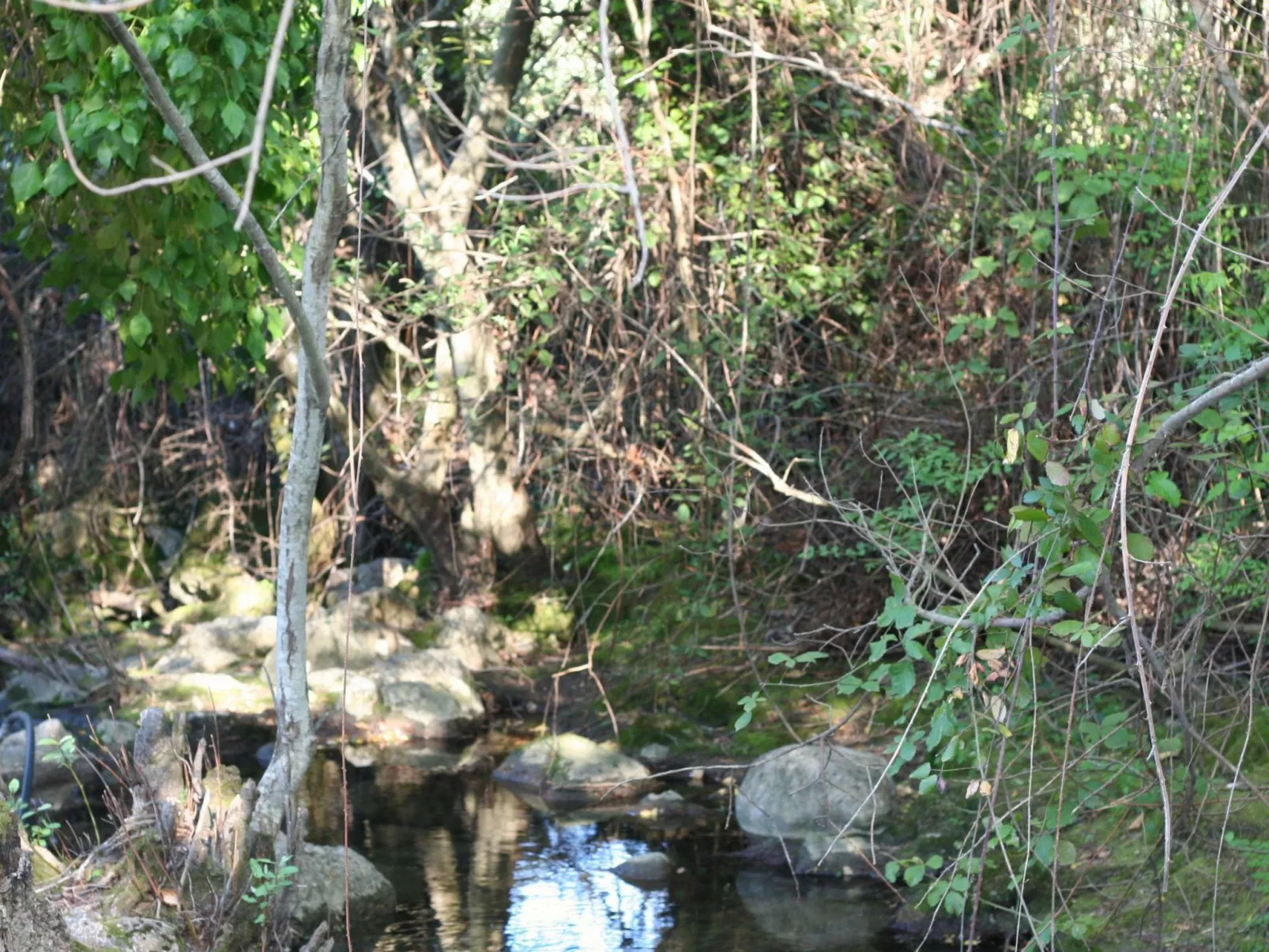 Gemütliches Landhaus Betania in Grazalema-Inside