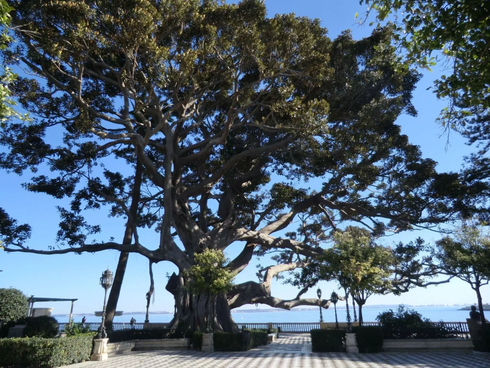 Große Wohnung in Cádiz, Kathedrale in der Nähe-Dedans