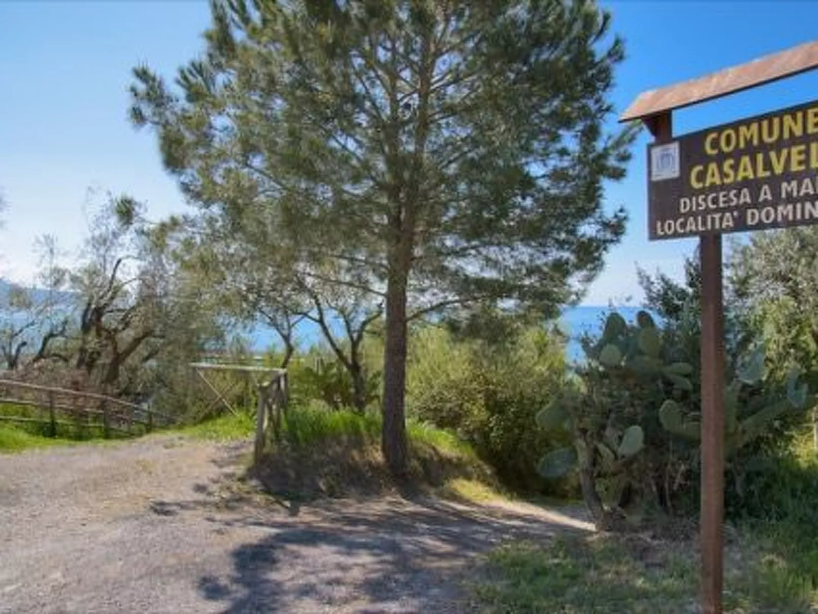 Dominella 3 - Apartment in Casal Velino für bis zu 3 Personen mit Terrasse-Image-tags.info