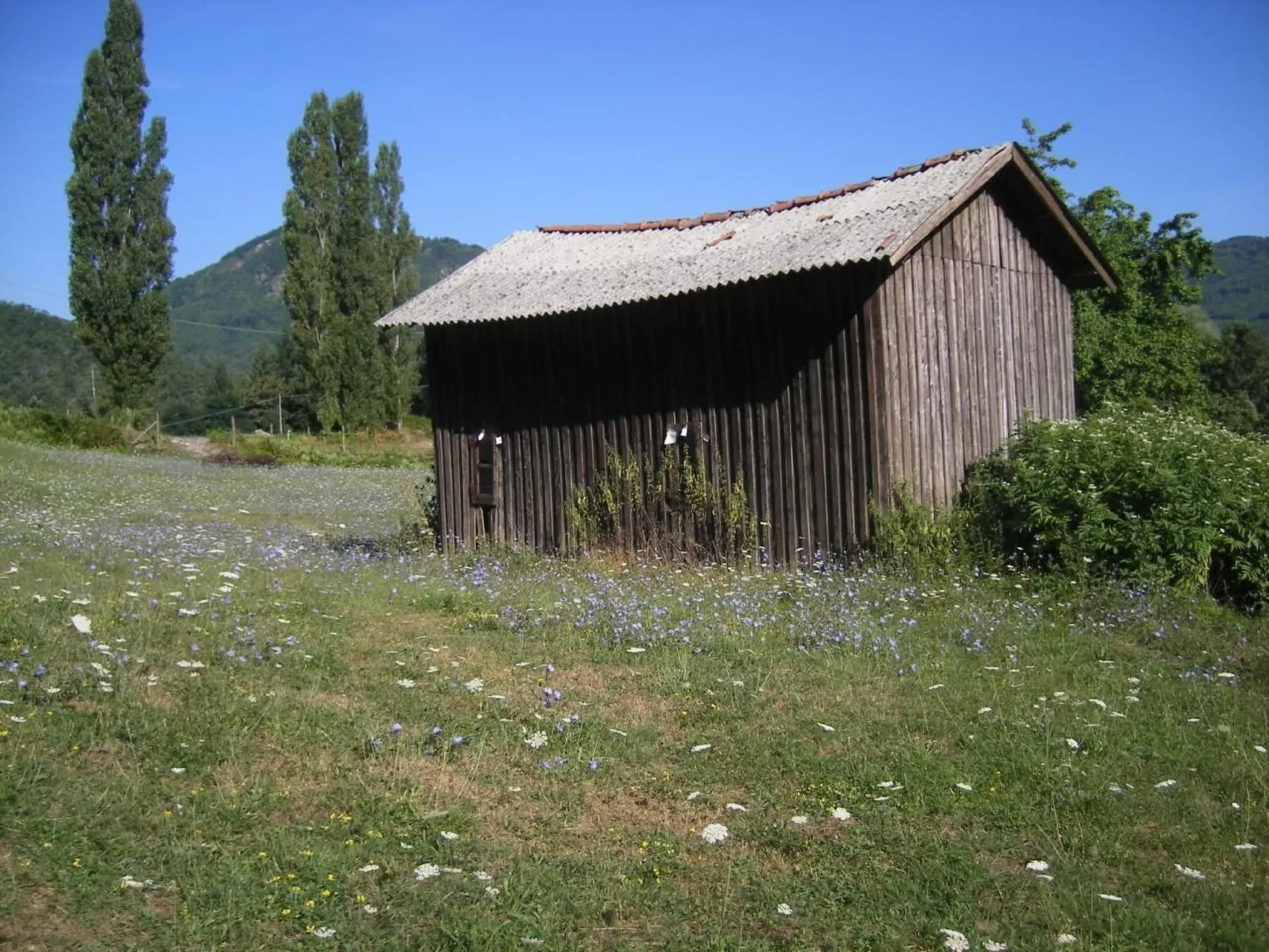 CasaMasa' Wohnung mit Bergblick-Outside