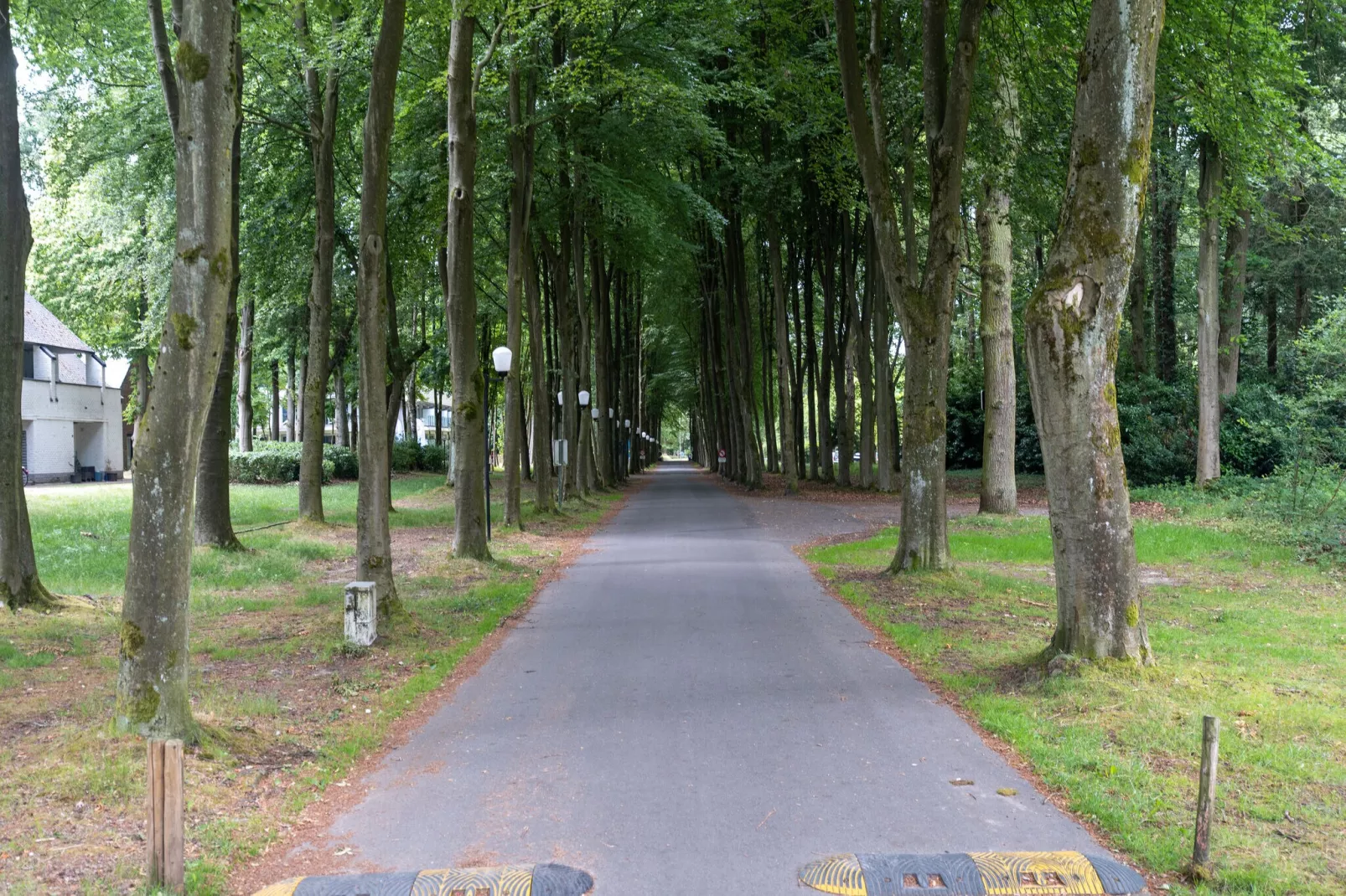 Hengelhoef-Areas summer 20km