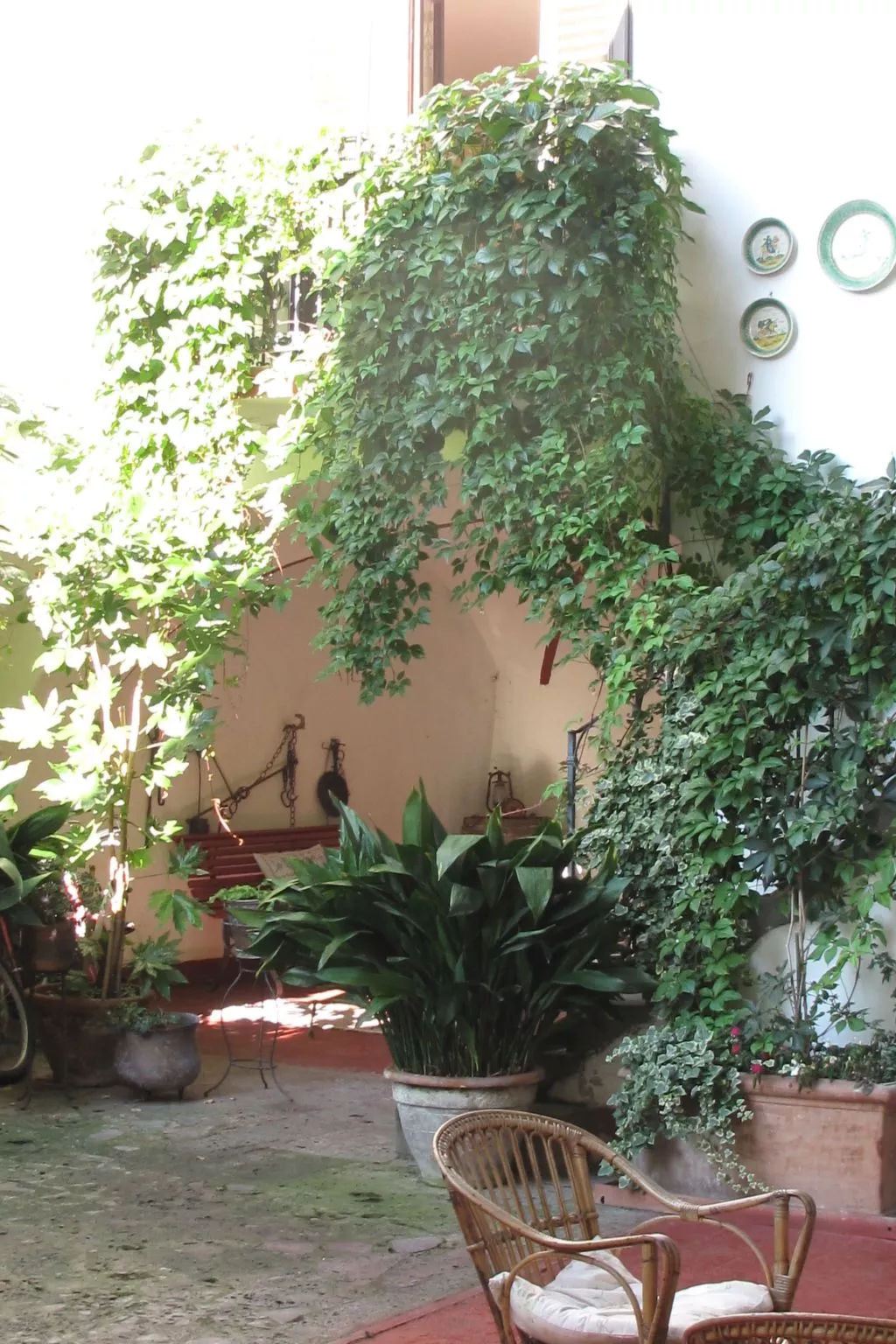 Dimora a corte-Inside