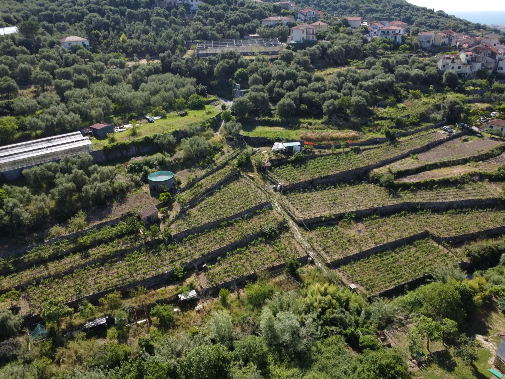 In Diano San Pietro-Dehors