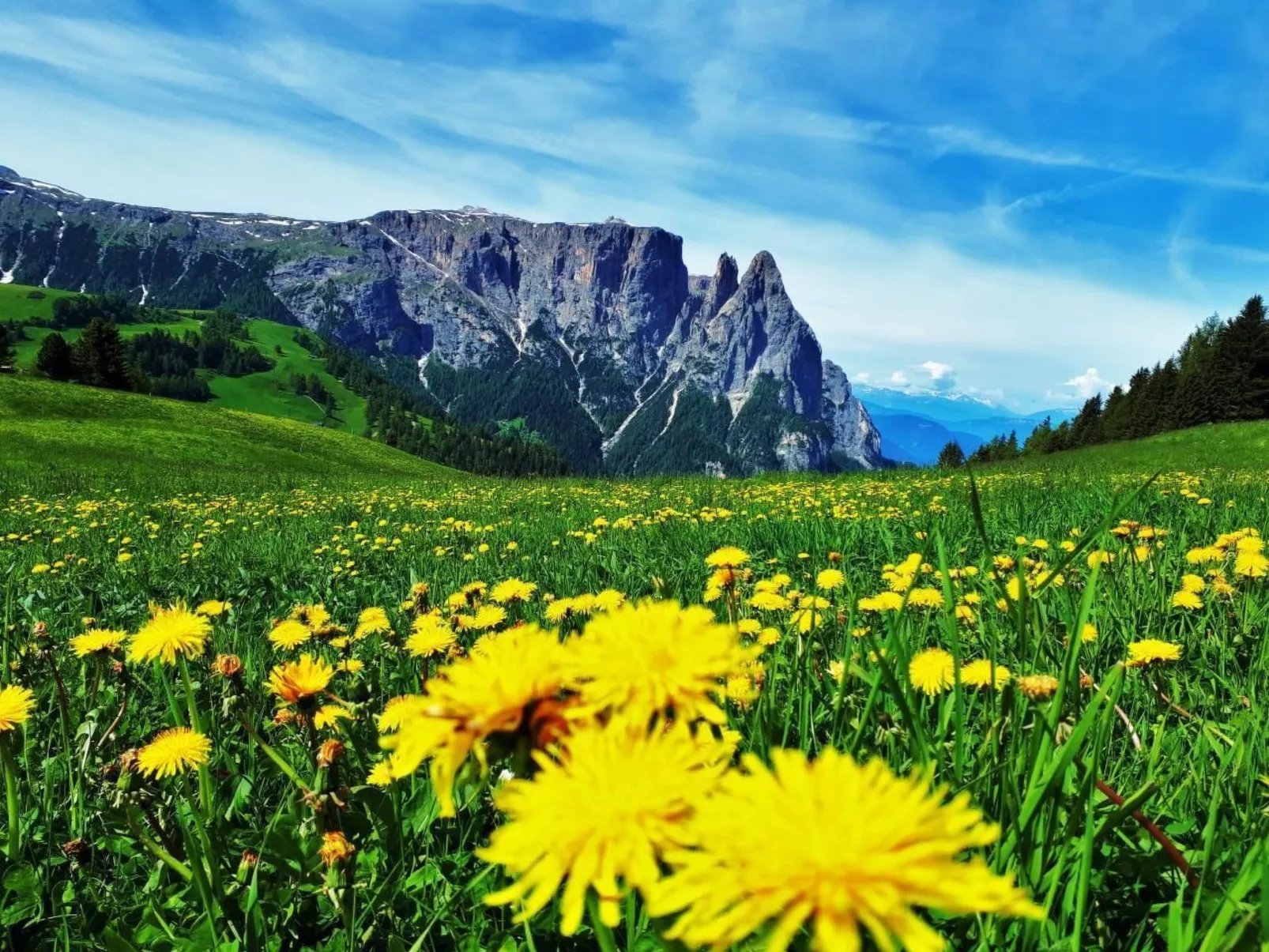 Cesa Vedla DOLOMITES-Drinnen