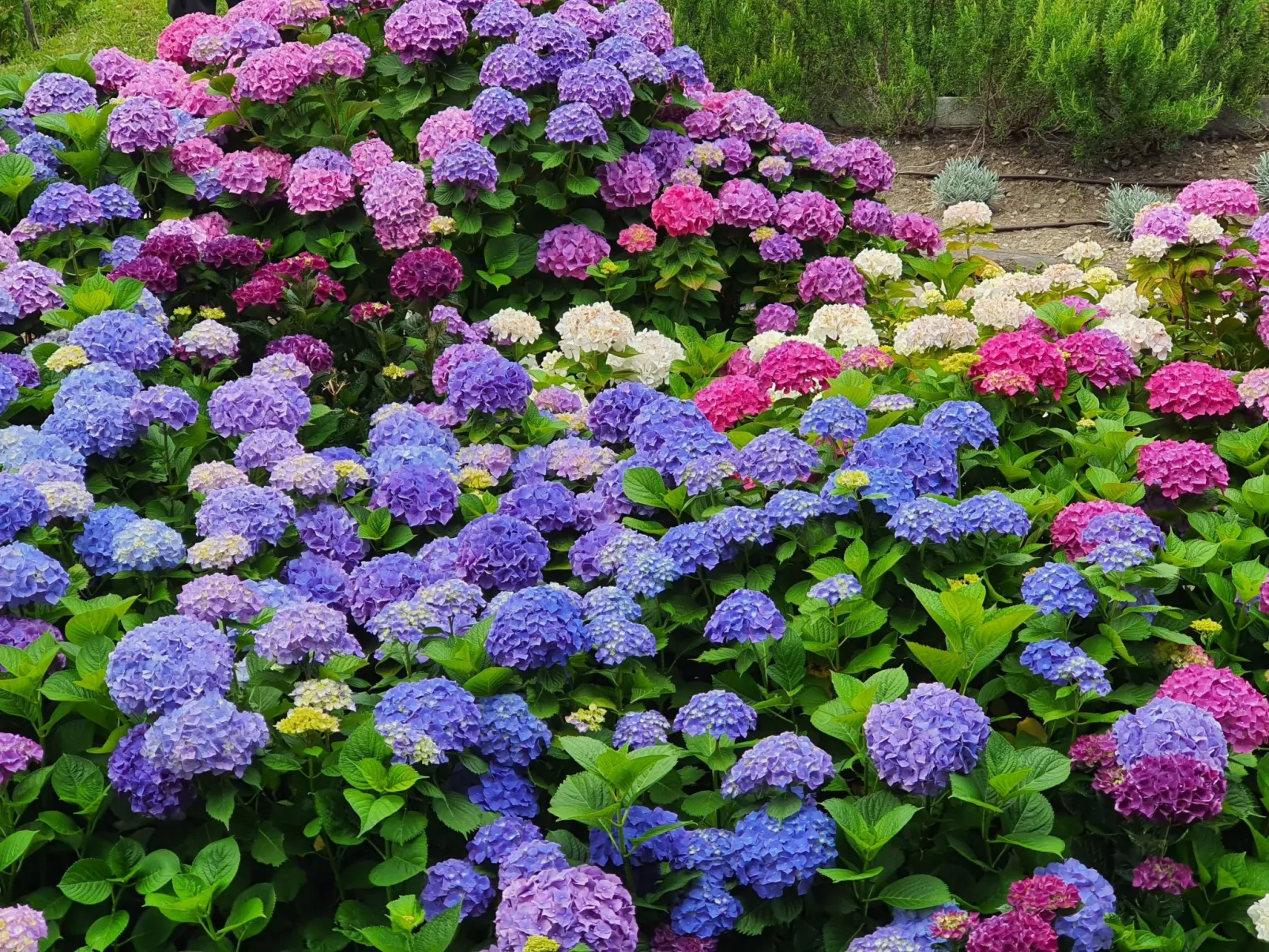 Wohnung mit Schwimmbad und fantastischem Seeblick-Dehors