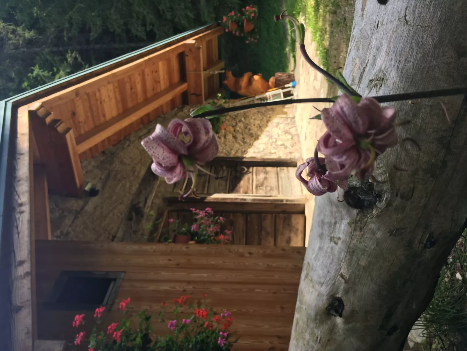 Mit Sauna in Pieve Di Bono-Outside