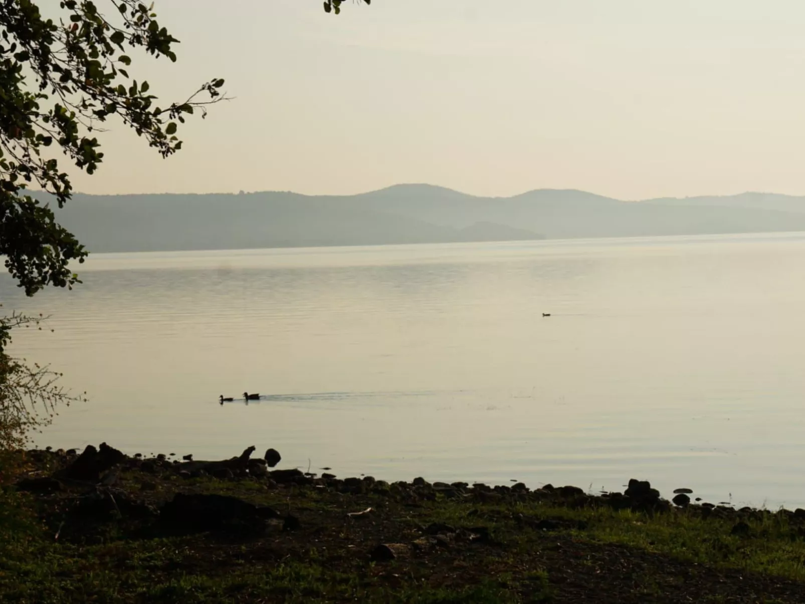 Mit Wasserblick-Outside