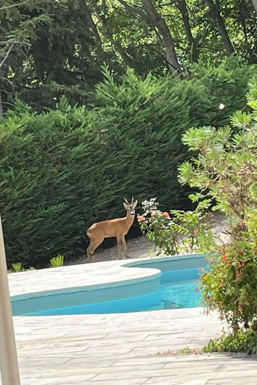 Ferienvilla 'Secret Montegiorgio-Dehors