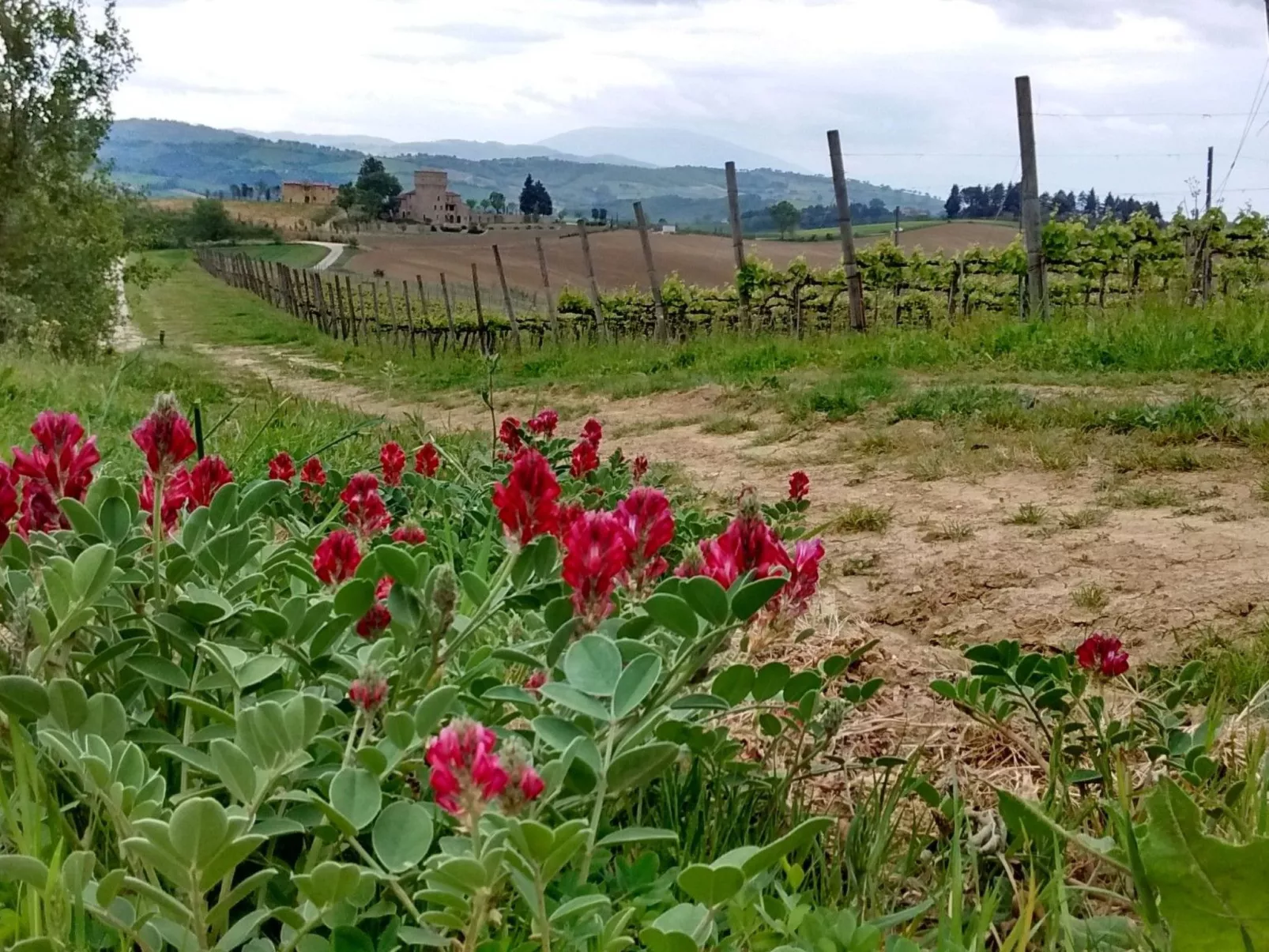 Flacher Pool-Image-tags.info