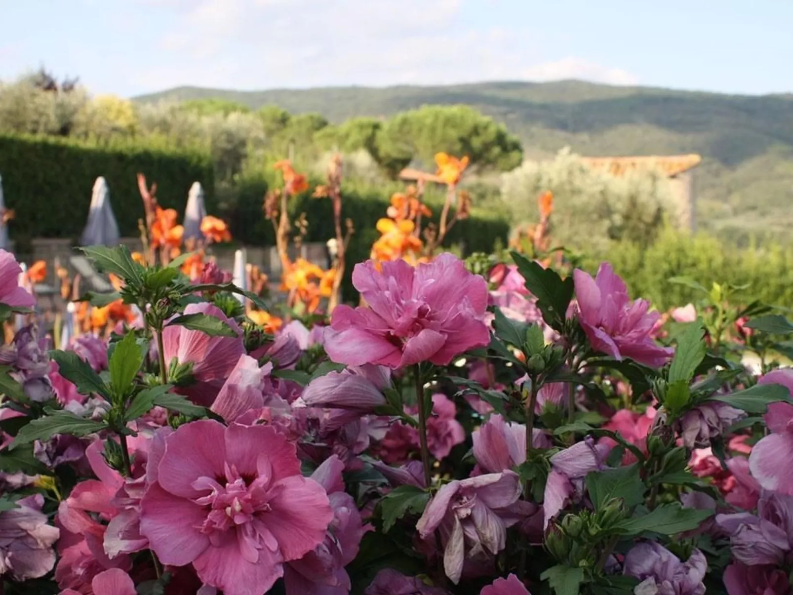 Wohnung in Sanguineto mit privatem Parkplatz-Outside