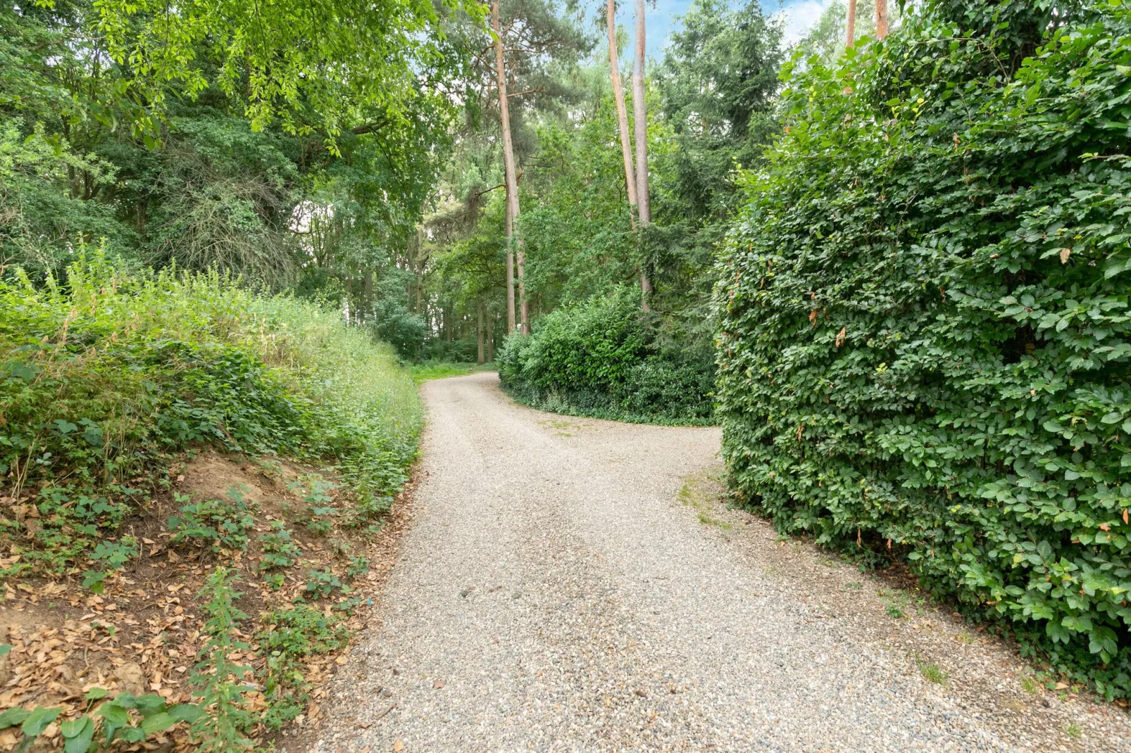 Ut Huuske-Areas summer 1km