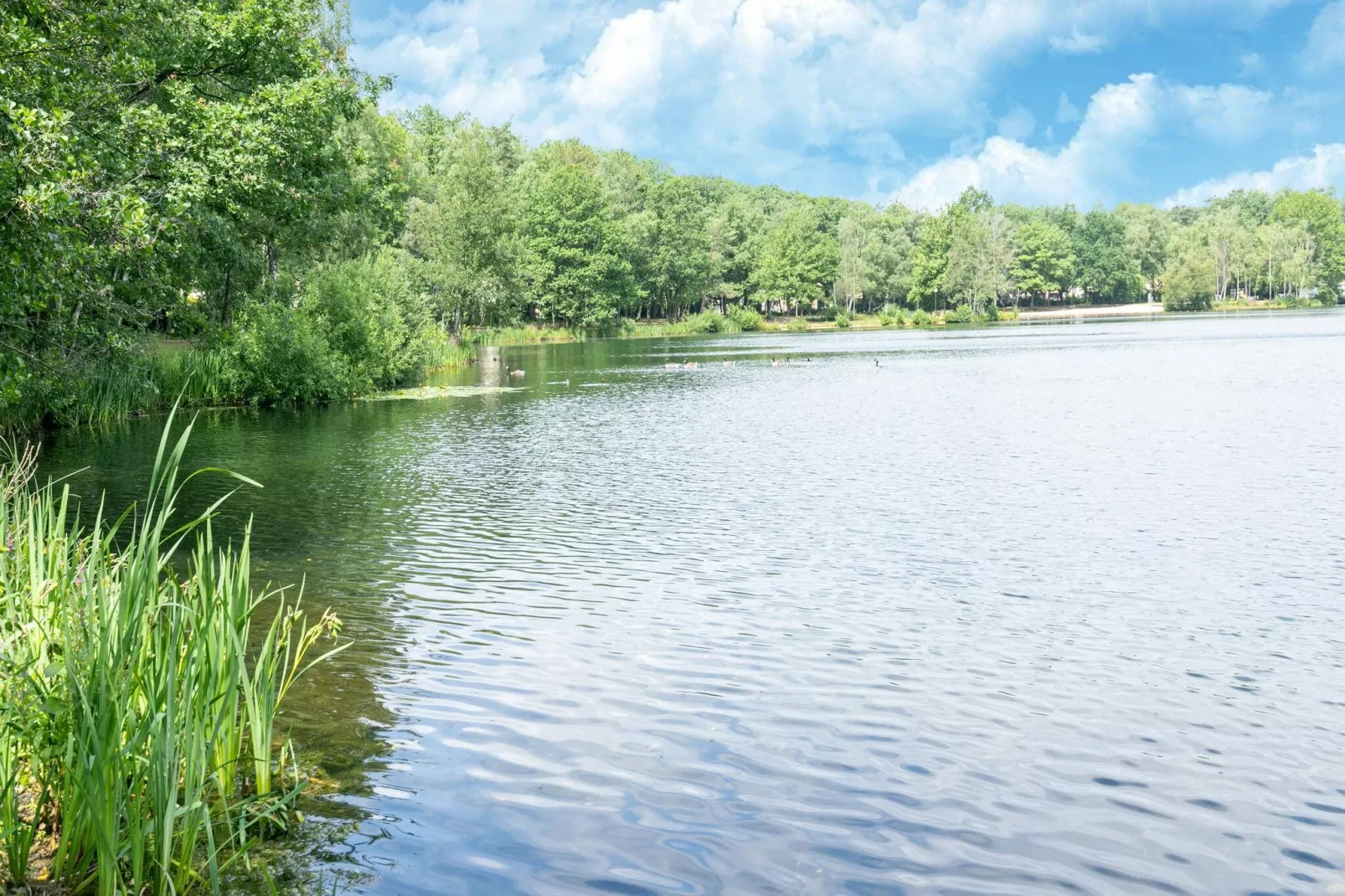 Ut Huuske-Areas summer 5km