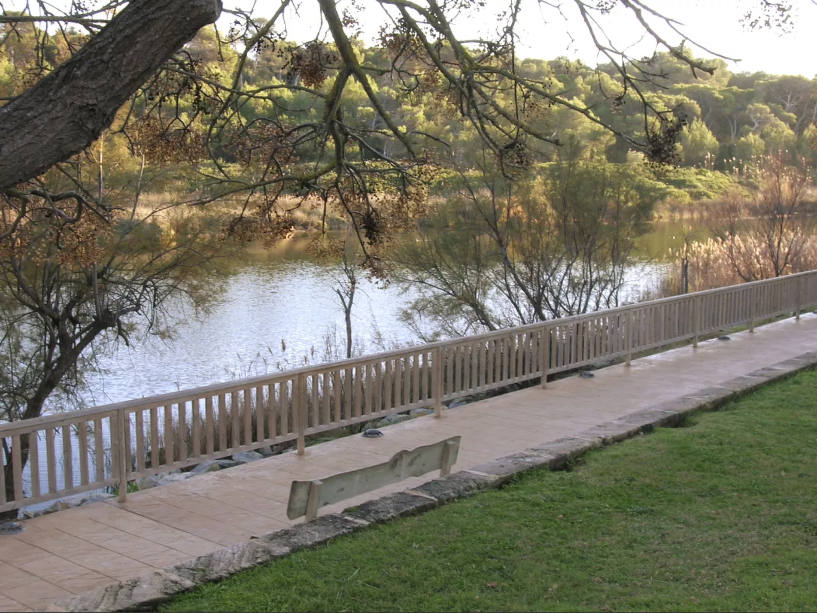 Villa Es Baulo Pleta mit Garten und Schwimmbad-Image-tags.info