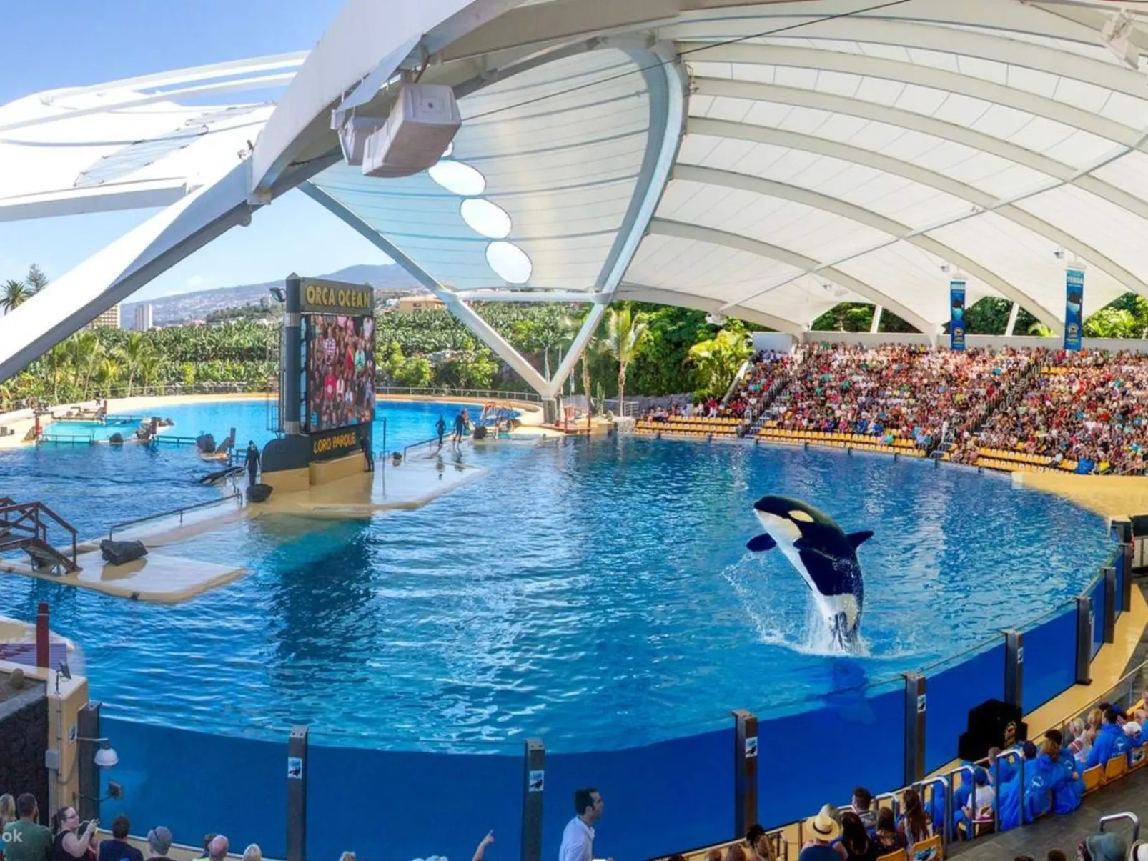 Beatifull apto Meerblick Playa Jardin wiffi-Image-tags.info