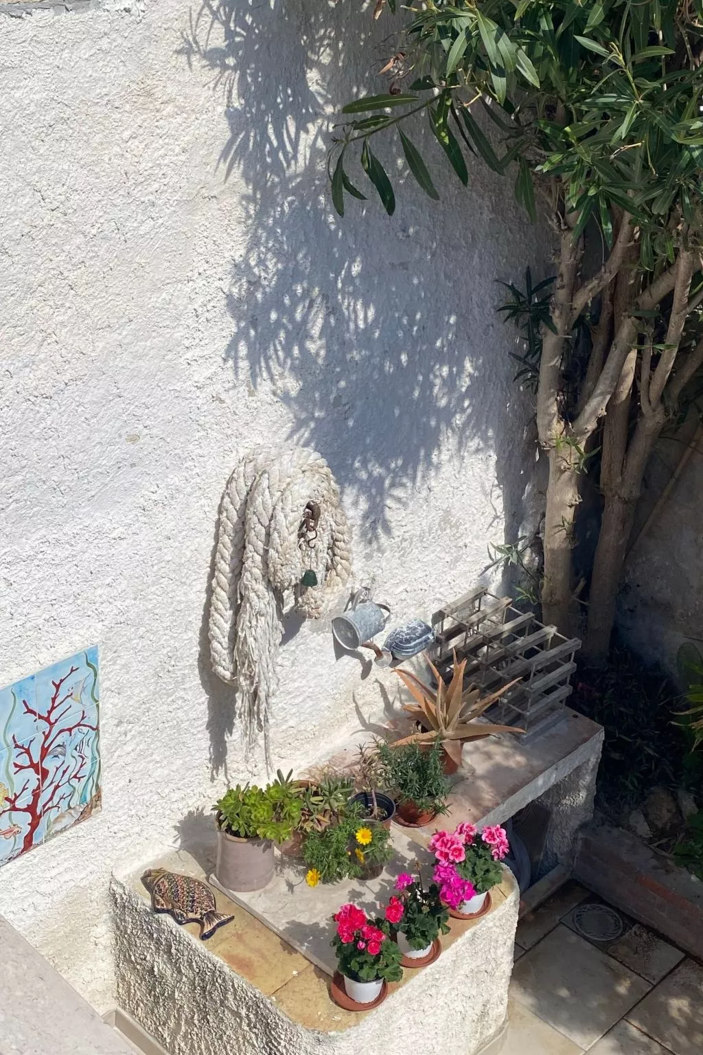 Casetta Favonia - Favignana Insel Sizilien-Dehors