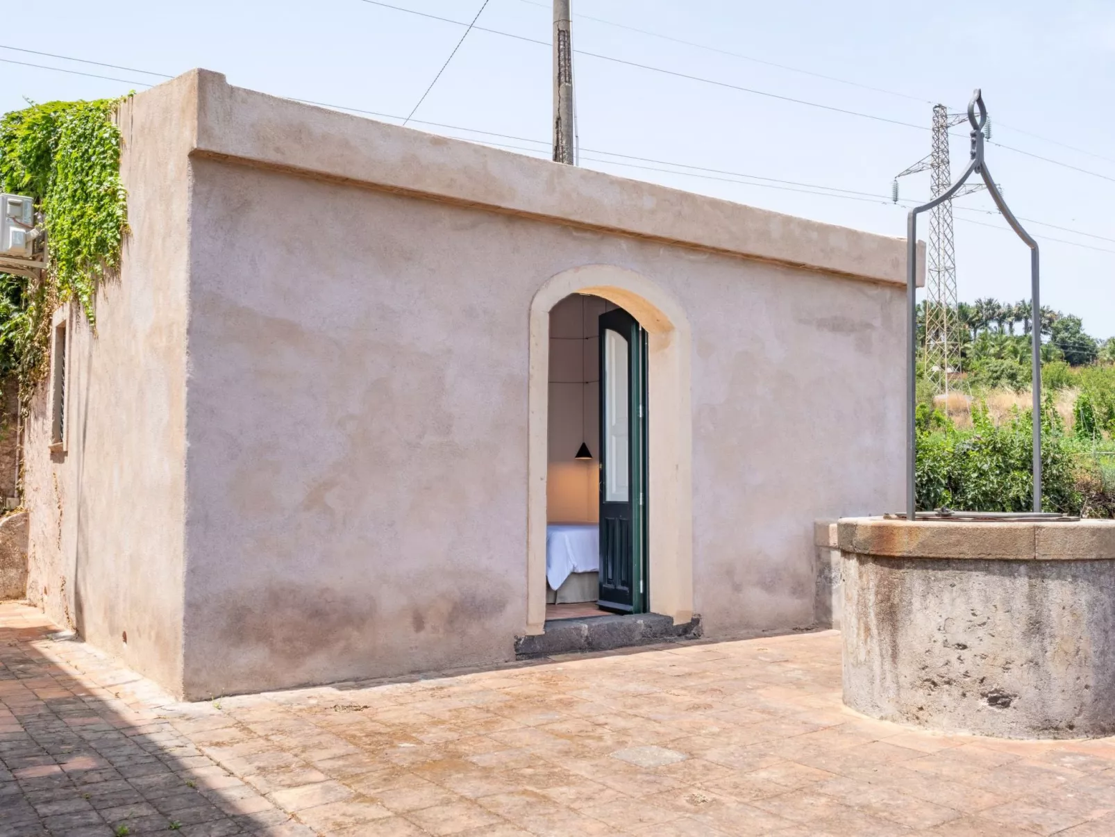 Avocado Garten-Inside