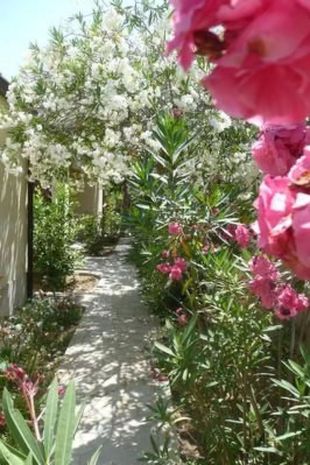 Schöner zentraler Bungalow direkt am Sandstrand auf Sizilien-Inside
